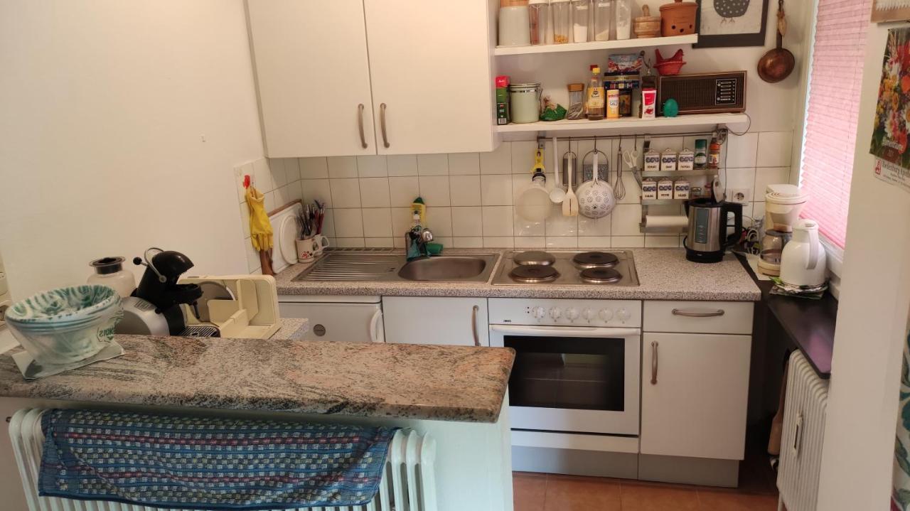 Alpenappartements Domicil Include Jokercard Зальбах-Хинтерглемм Экстерьер фото