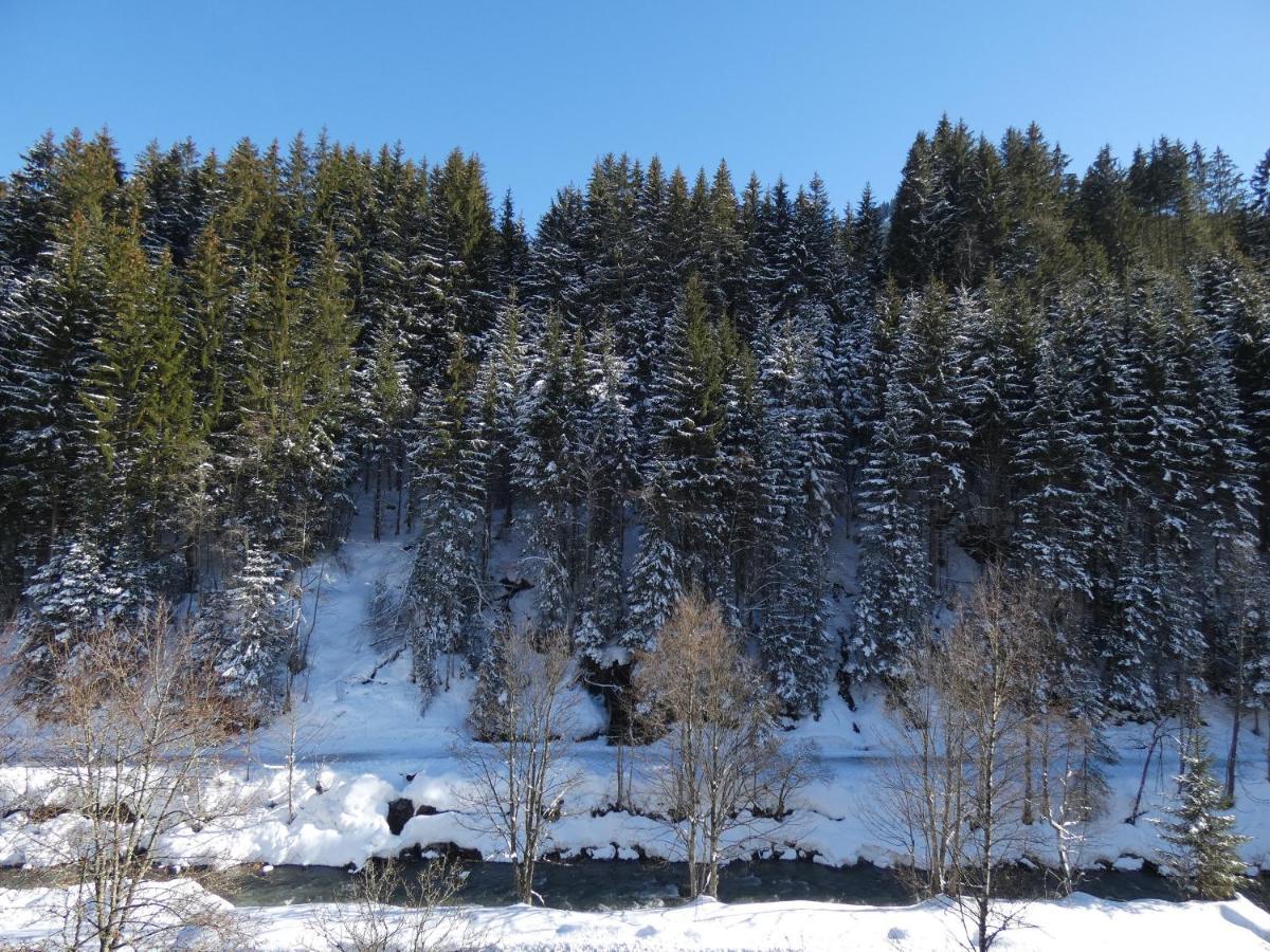 Alpenappartements Domicil Include Jokercard Зальбах-Хинтерглемм Экстерьер фото