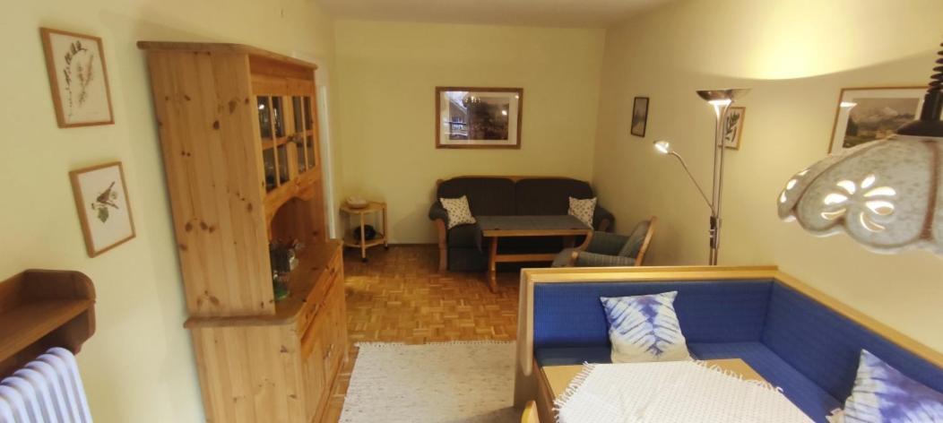 Alpenappartements Domicil Include Jokercard Зальбах-Хинтерглемм Экстерьер фото